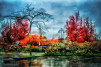 Progresso Fotografico 66: 	30 Tutorial: luci e colori dell’autunno